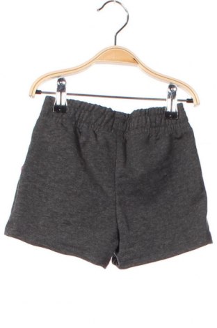 Pantaloni scurți pentru copii Denokids, Mărime 3-4y/ 104-110 cm, Culoare Gri, Preț 27,47 Lei