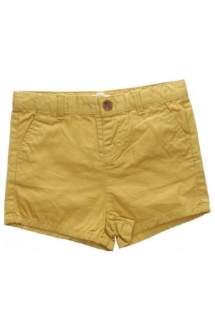 Παιδικό κοντό παντελόνι Gocco, Μέγεθος 12-18m/ 80-86 εκ., Χρώμα Πράσινο, Τιμή 20,10 €