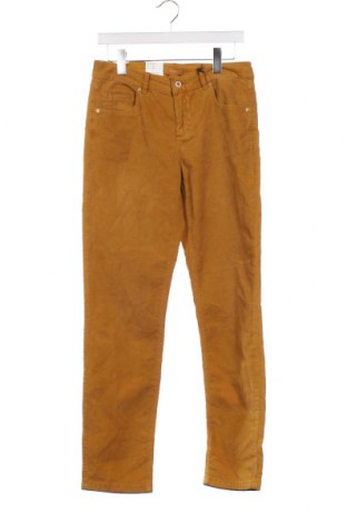Pantaloni raiați de bărbați Angels, Mărime S, Culoare Galben, Preț 62,04 Lei