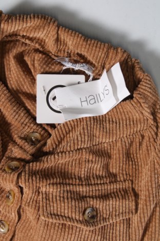 Φούστα Haily`s, Μέγεθος XS, Χρώμα Καφέ, Τιμή 3,14 €