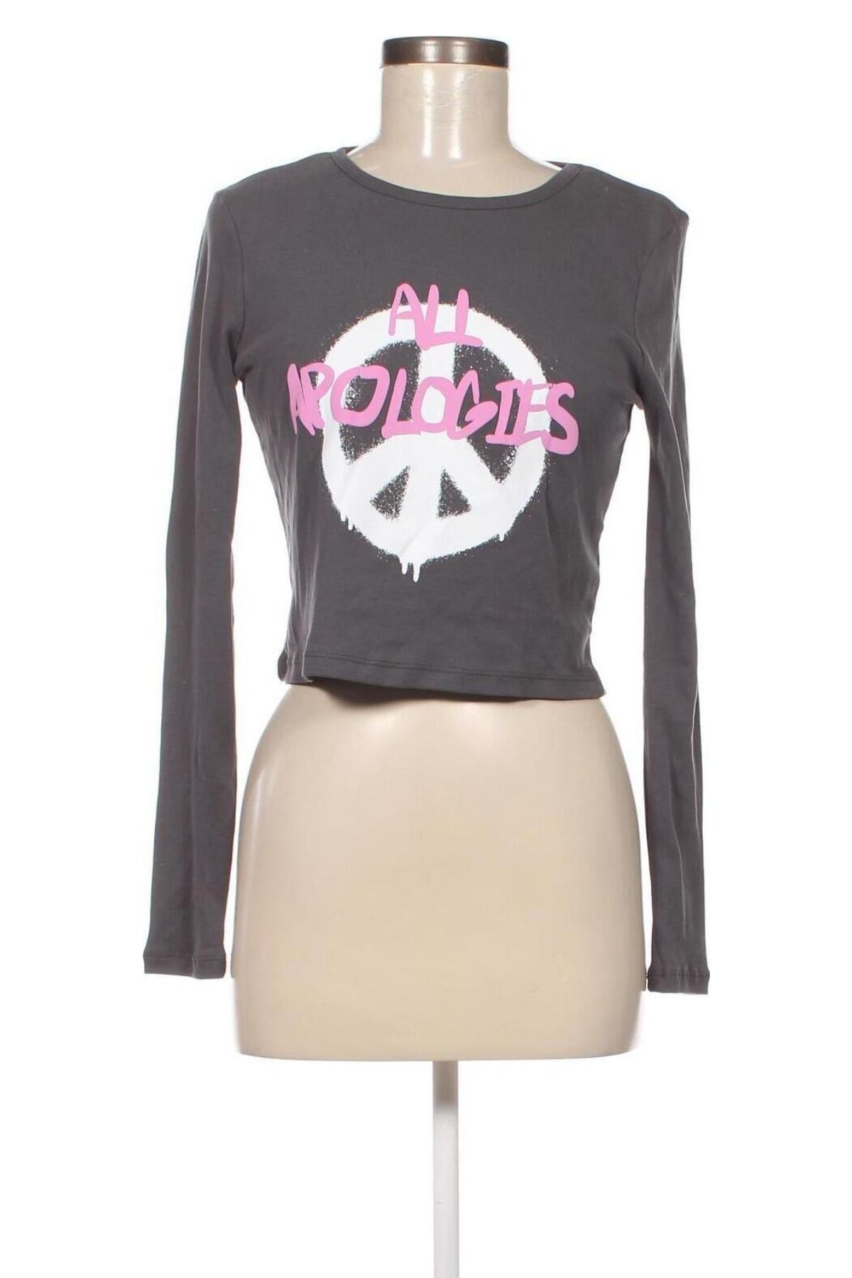 Γυναικεία μπλούζα Review, Μέγεθος L, Χρώμα Γκρί, Τιμή 3,71 €