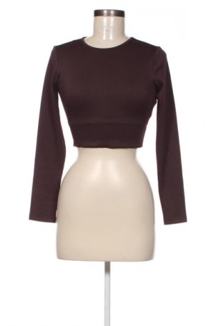 Damen Shirt, Größe S, Farbe Braun, Preis € 7,49