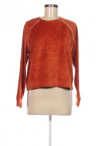 Damen Shirt, Größe L, Farbe Orange, Preis € 3,99