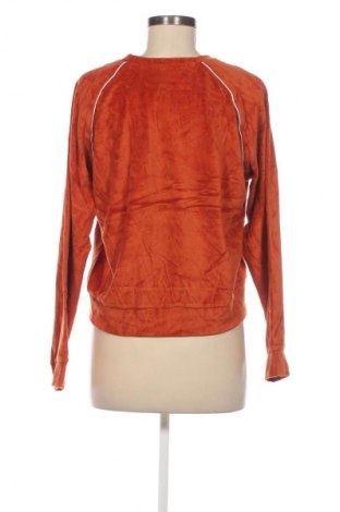 Damen Shirt, Größe L, Farbe Orange, Preis € 3,99