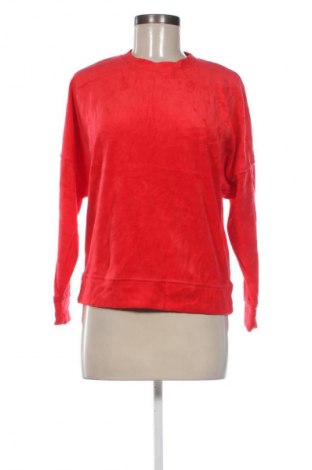 Damen Shirt Aerie, Größe XS, Farbe Rot, Preis € 13,49