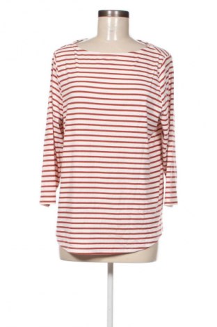 Damen Shirt Anko, Größe XL, Farbe Mehrfarbig, Preis 5,99 €