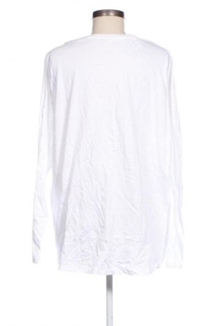 Damen Shirt Anko, Größe XXL, Farbe Weiß, Preis 7,99 €