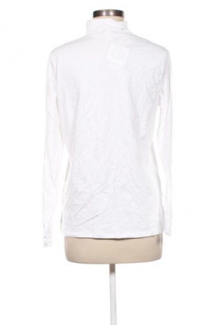 Damen Shirt Anko, Größe XXL, Farbe Weiß, Preis 8,99 €