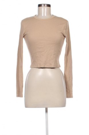 Damen Shirt Bershka, Größe M, Farbe Beige, Preis 5,99 €