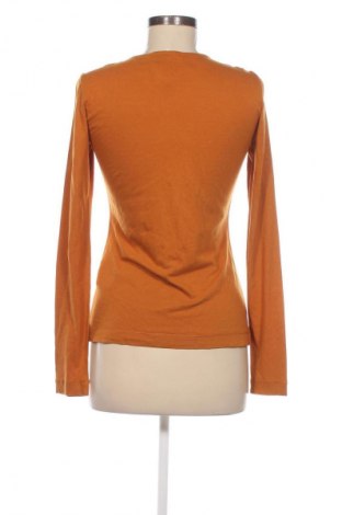 Damen Shirt Brax, Größe S, Farbe Orange, Preis 15,99 €