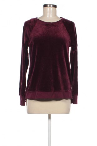 Damen Shirt Cable & Gauge, Größe S, Farbe Rot, Preis € 13,49