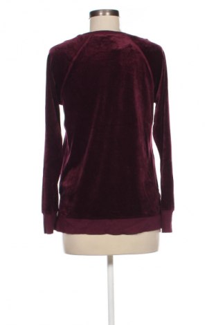 Damen Shirt Cable & Gauge, Größe S, Farbe Rot, Preis € 4,99