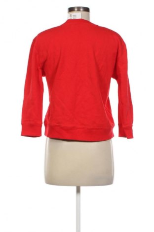 Damen Shirt Calvin Klein Jeans, Größe M, Farbe Rot, Preis € 38,49