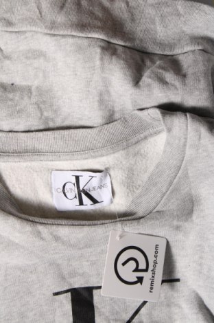 Γυναικεία μπλούζα Calvin Klein Jeans, Μέγεθος M, Χρώμα Γκρί, Τιμή 17,49 €