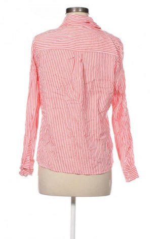 Damen Shirt Collection L, Größe S, Farbe Mehrfarbig, Preis € 5,99