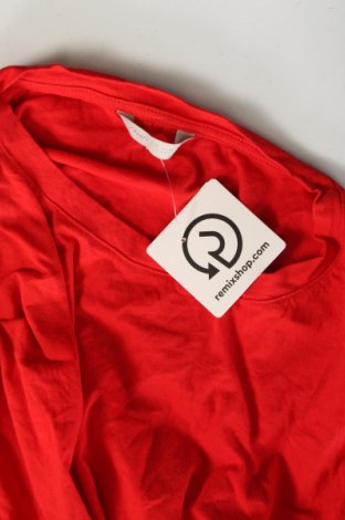 Damen Shirt Diverse, Größe XS, Farbe Rot, Preis € 9,72