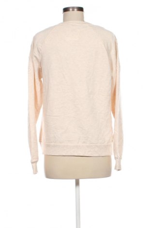 Damen Shirt Gloria Vanderbilt, Größe S, Farbe Beige, Preis 4,99 €