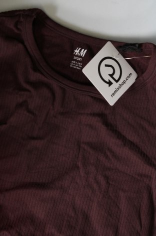 Damen Shirt H&M, Größe S, Farbe Braun, Preis € 5,99