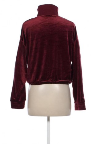 Damen Shirt HKM, Größe L, Farbe Rot, Preis € 8,99