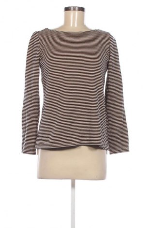 Damen Shirt Hallhuber, Größe S, Farbe Mehrfarbig, Preis € 15,99