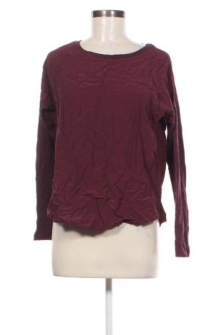 Damen Shirt Lou & Grey, Größe S, Farbe Lila, Preis € 4,99