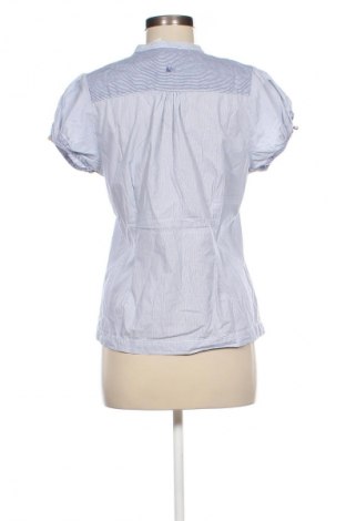 Damen Shirt Mantaray, Größe M, Farbe Mehrfarbig, Preis 8,49 €