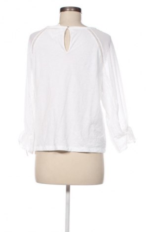 Damen Shirt Marc Cain, Größe M, Farbe Weiß, Preis 43,49 €