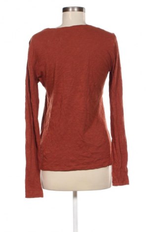 Damen Shirt Marc O'Polo, Größe XL, Farbe Braun, Preis € 25,99