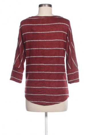 Damen Shirt Market&Spruce, Größe XS, Farbe Rot, Preis 5,99 €