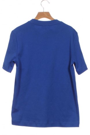 Damen T-Shirt Massimo Dutti, Größe XS, Farbe Blau, Preis 37,42 €