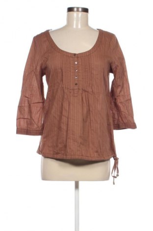 Damen Shirt Mexx, Größe S, Farbe Braun, Preis € 3,99