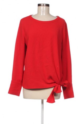 Damen Shirt Opus, Größe L, Farbe Rot, Preis € 33,99