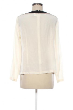 Damen Shirt Peter Hahn, Größe L, Farbe Ecru, Preis 17,49 €