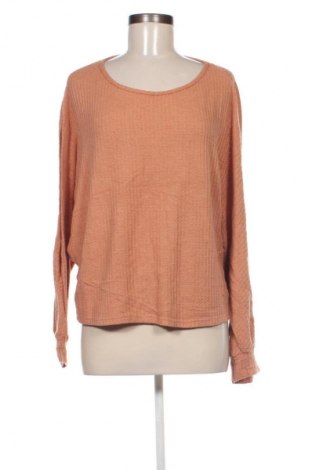 Damen Shirt SHEIN, Größe XL, Farbe Braun, Preis € 3,99