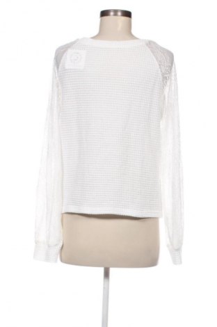 Damen Shirt SHEIN, Größe M, Farbe Weiß, Preis 5,99 €