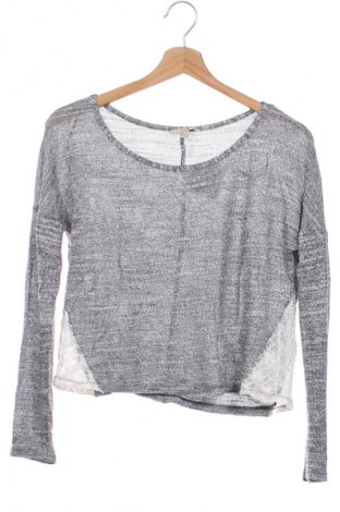 Damen Shirt Springfield, Größe XS, Farbe Grau, Preis € 8,49