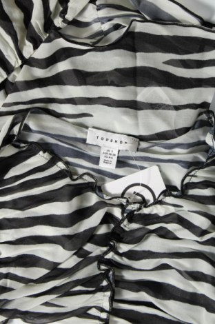 Damen Shirt Topshop, Größe S, Farbe Mehrfarbig, Preis € 10,99