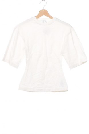 Damen Shirt Topshop, Größe XS, Farbe Weiß, Preis € 10,99