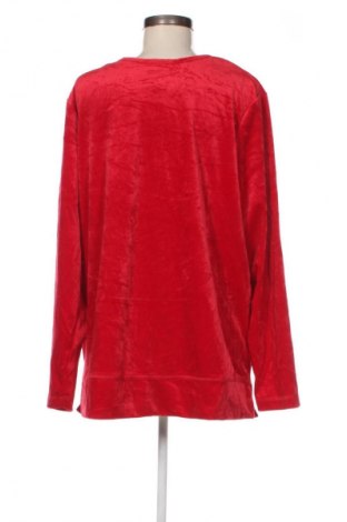 Damen Shirt Woman Within, Größe L, Farbe Rot, Preis 6,99 €