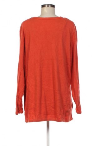 Damen Shirt Woman Within, Größe XXL, Farbe Orange, Preis 13,49 €