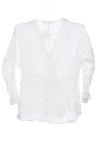 Damen Shirt Zara, Größe XS, Farbe Weiß, Preis € 7,99