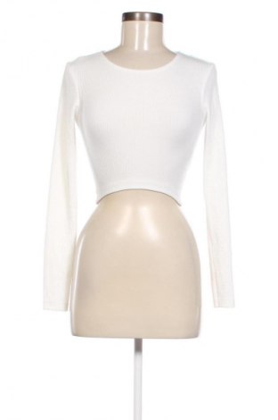 Damen Shirt Zara, Größe S, Farbe Weiß, Preis € 14,00