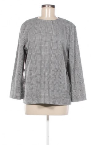 Damen Shirt Zara, Größe M, Farbe Mehrfarbig, Preis € 2,99