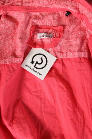 Damenbluse, Größe S, Farbe Rosa, Preis € 7,67