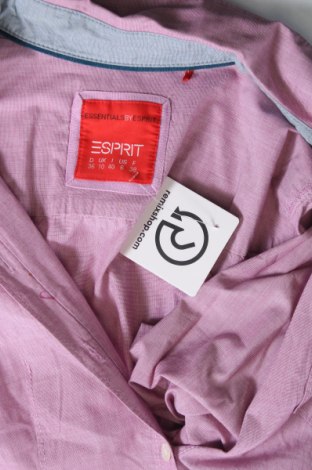 Damenbluse Esprit, Größe XS, Farbe Rosa, Preis € 9,99