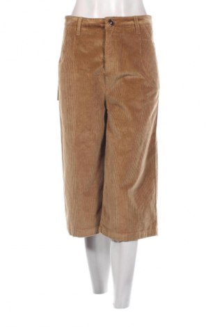 Damen Cordhose B.CROM, Größe M, Farbe Braun, Preis € 72,99