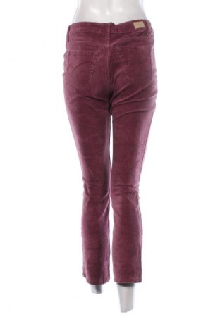 Damen Cordhose Bandolino, Größe M, Farbe Lila, Preis 8,49 €