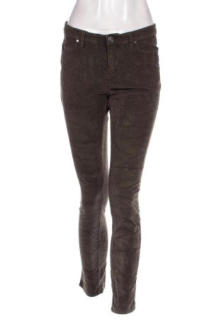 Damen Cordhose Buffalo by David Bitton, Größe S, Farbe Grün, Preis € 10,49