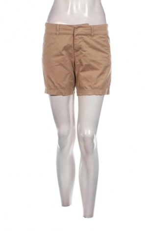 Damen Shorts Body Flirt, Größe S, Farbe Beige, Preis € 5,99