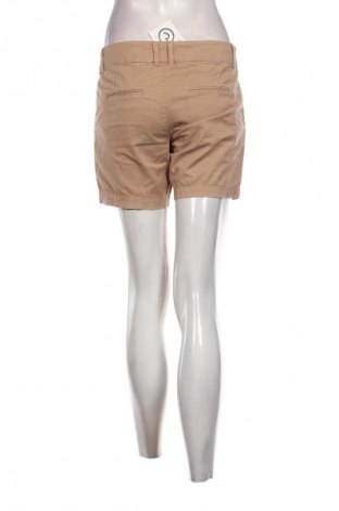 Damen Shorts Body Flirt, Größe S, Farbe Beige, Preis € 5,99